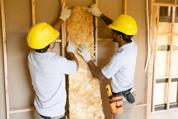 Types of Insulation We Offer in Needles, CA